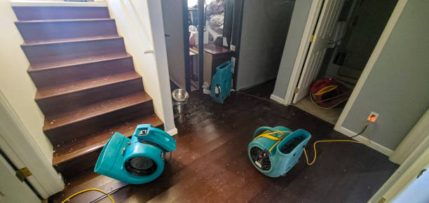 Best Basement water damage restoration  in Levittown, PA
