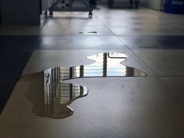 Best Water damage restoration near me  in Levittown, PA