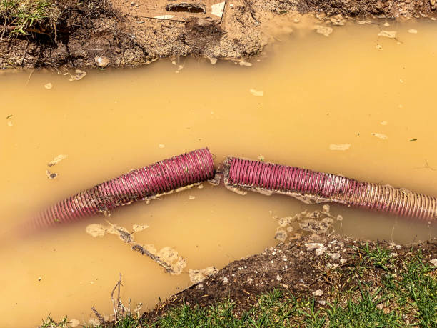 Best Local water damage restoration  in Levittown, PA